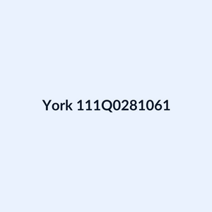 York 111Q0281061 Output Modules | OEM Chiller Part