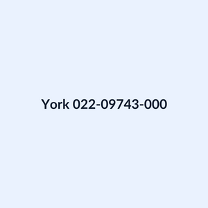York 022-09743-000 Ring, Valve | OEM Chiller Part
