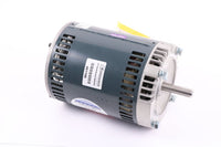 481196 — Motor, 18680025