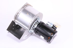 460499 — Combustion/Inducer Fan, 230V