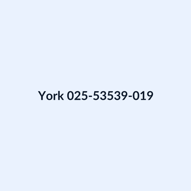York 025-53539-019 Contactor, AF80-30-11-13