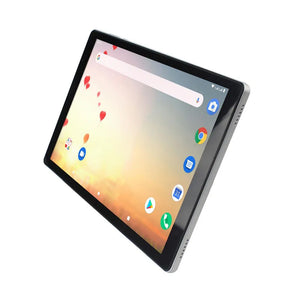 19X641-12 — WaterFurnace Repl By 19X641-13 Programmed Tablet NXW-F