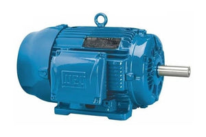 358938 — Motor, 01036ET3T215T-W22, 10 HP, 3 Phase