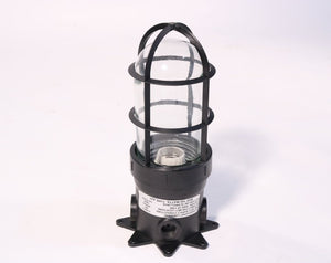 1007036 — Light Fixture, 120V, 150W, STD GLASS/CAGE 15801