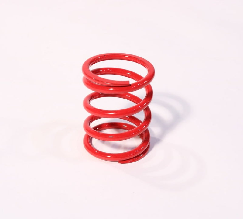 1006981 — Spring Isolator, T1C-150, Coated, Red